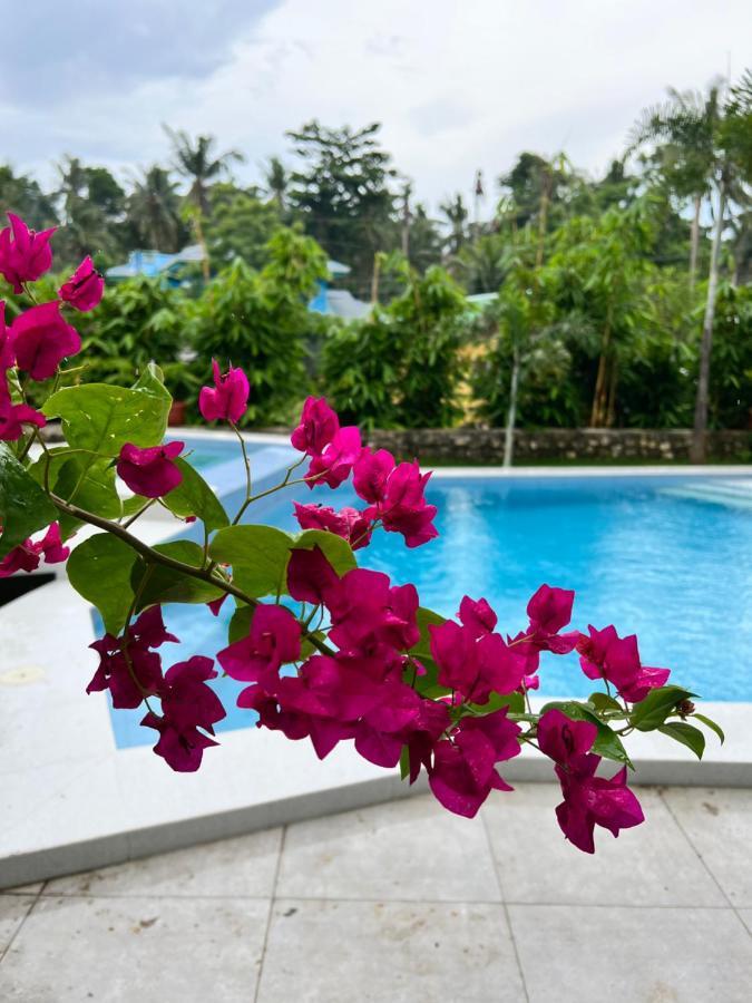 D Arc Leisure Home By The Sea Panglao Exterior photo